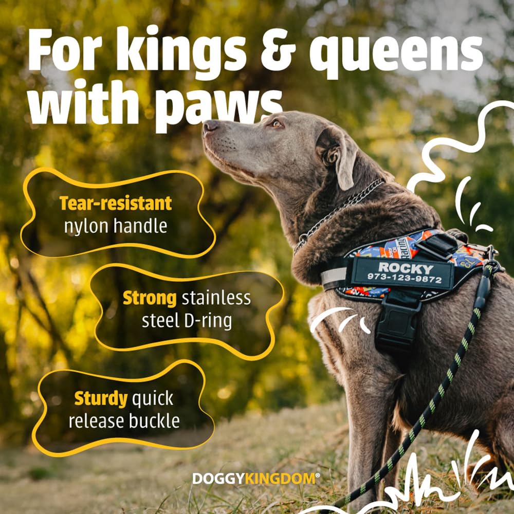 Personalized Dog Harness with Custom Name Patches, No Choke, Reflective, Adjustable, Soft Padded Dog Vest Harness with Easy Control Handle for Medium Sized Dog, Red, M - image 5