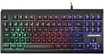 Lumsburry Computer Keyboard, 87 Keys Compact Wired USB Keyboard with Rainbow LED Light Up Backlit for PC Gaming Laptop Teclado Gamers Office Working