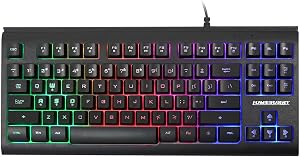 Lumsburry Computer Keyboard, 87 Keys Compact Wired USB Keyboard with Rainbow LED Light Up Backlit for PC Gaming Laptop Teclado Gamers Office Working