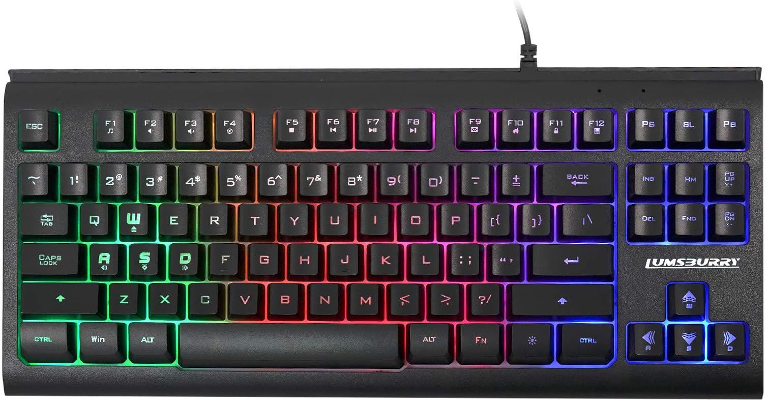 Lumsburry Rainbow LED Backlit Mini Compact 87 Keys Gaming Keyboard with 12 Multimedia Shortcut Keys USB Wired Keyboard for Kids Adults Gamers