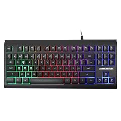 Lumsburry Computer Keyboard 87 Keys Compact Wired USB Keyboard with Rainbow LED Light Up Backlit for PC Gaming