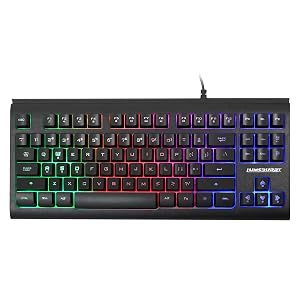 Lumsburry Computer Keyboard 87 Keys Compact Wired USB Keyboard with Rainbow LED Light Up Backlit for PC Gaming