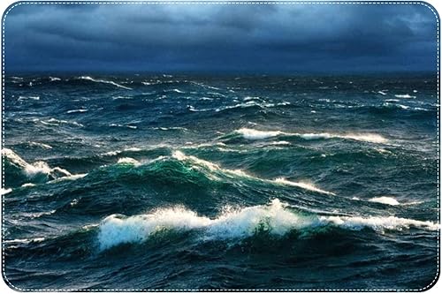 Tapete para puerta delantera antideslizante absorbente y resistente a las manchas para decoración del hogar oficina 24 x 16 pulgadas