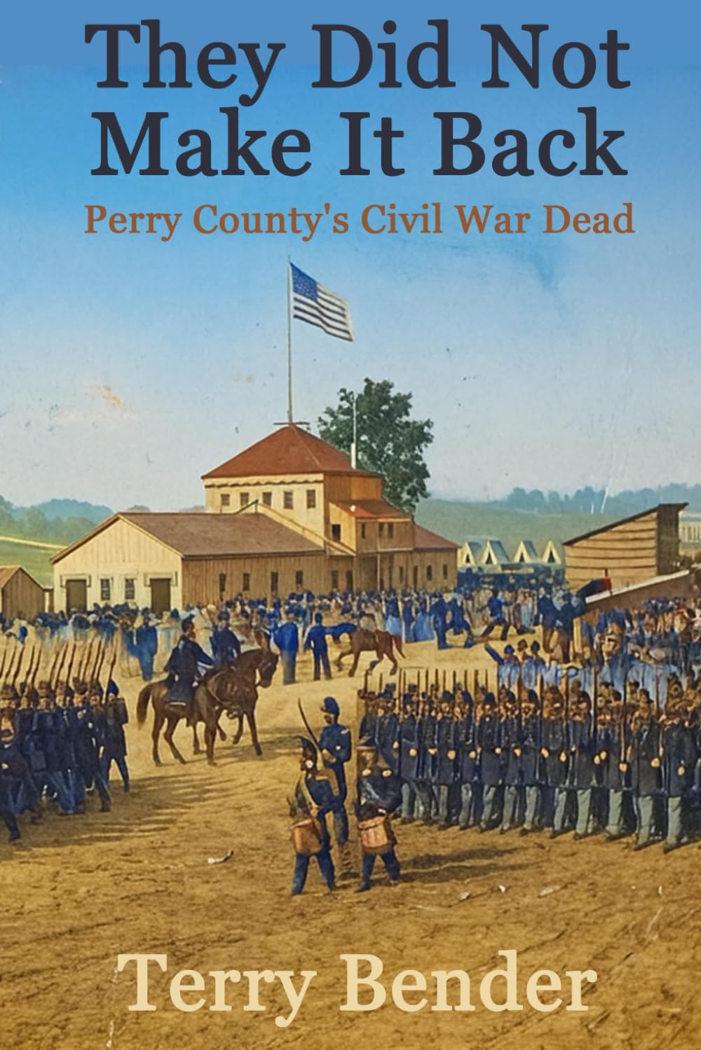 They Did Not Make It Back: Perry County's Civil War Dead      Paperback – January 8, 2026