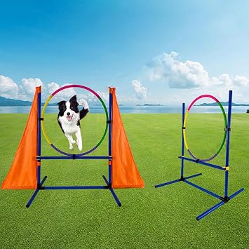 Dog Agility Training Equipment, Dog Agility Course Backyard Set, Dog Obstacle Course Backyard Starter Kit with Play Tunnel, Adjustable High Hurdle, Pet Outdoor Game for Indoor Outdoor Use