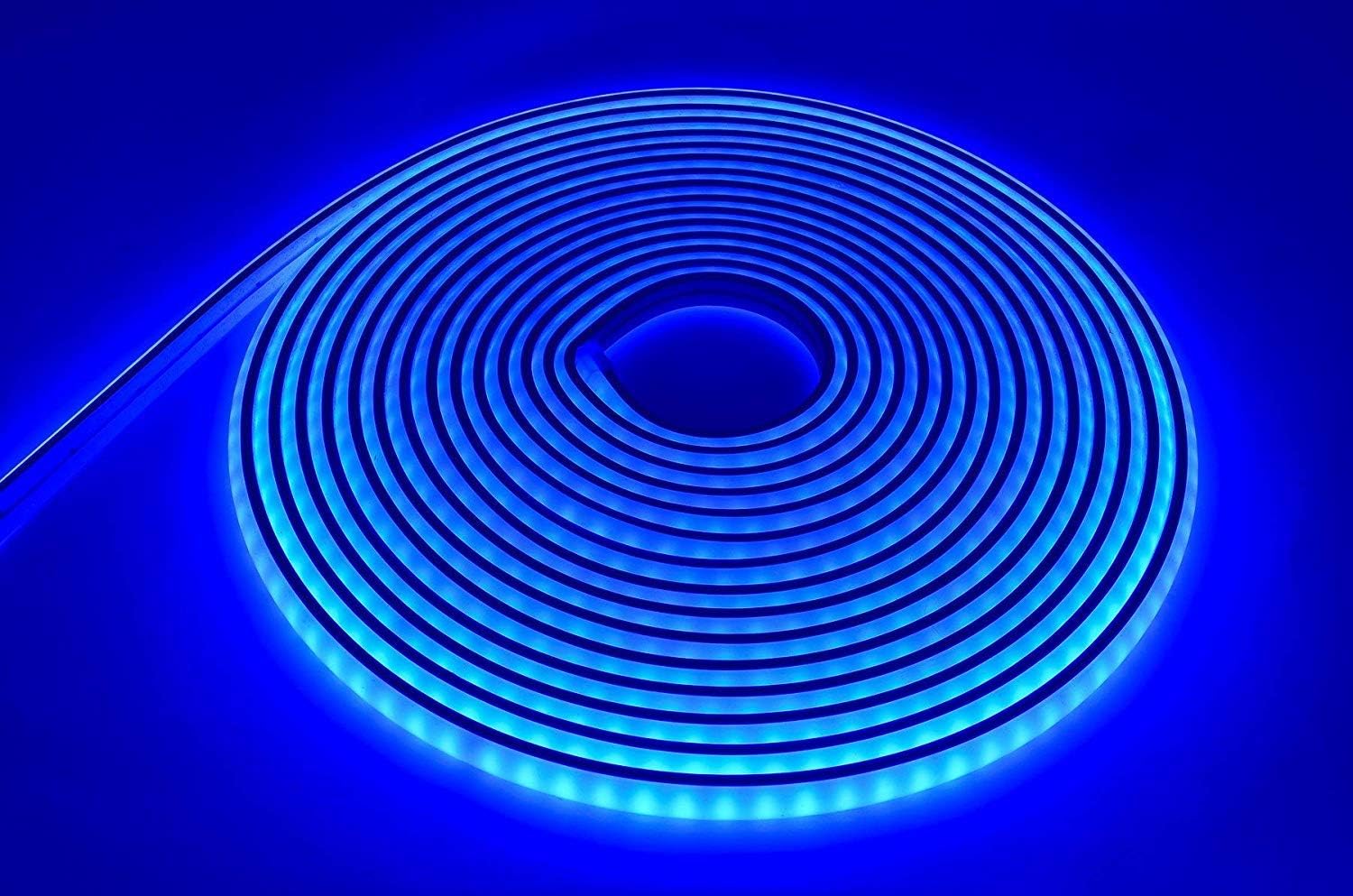Green Blob Outdoors LED Neon Rope Light LED Flexible Tube Light 12VDC LED Neon Strip Light IP68 Waterproof, Submersible, Decoration Light (Blue) (Blue, 19ft)