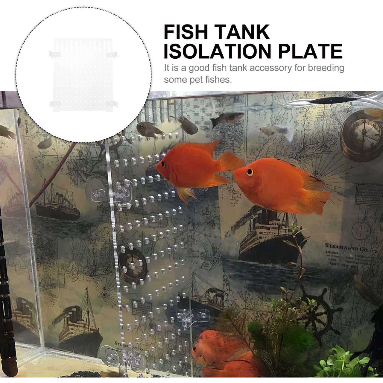 Séparateur Acrylique pour Aquarium Diviseur Transparent avec Ventouses pour Élever Et Séparer Les Poissons Accessoire pour Aquarium