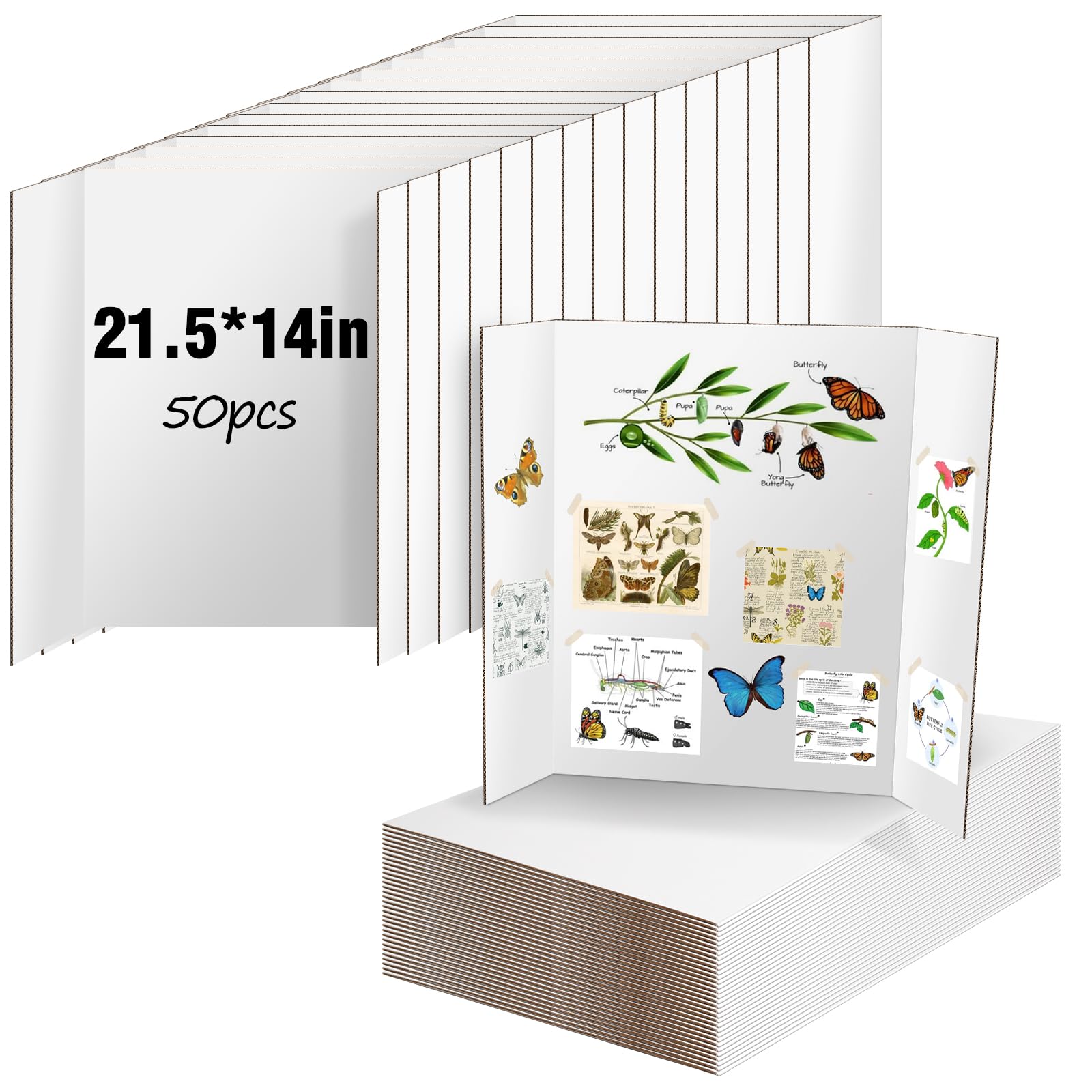 Amazon.com : 50 Pack Trifold Poster Board, IKAYAS 21.5