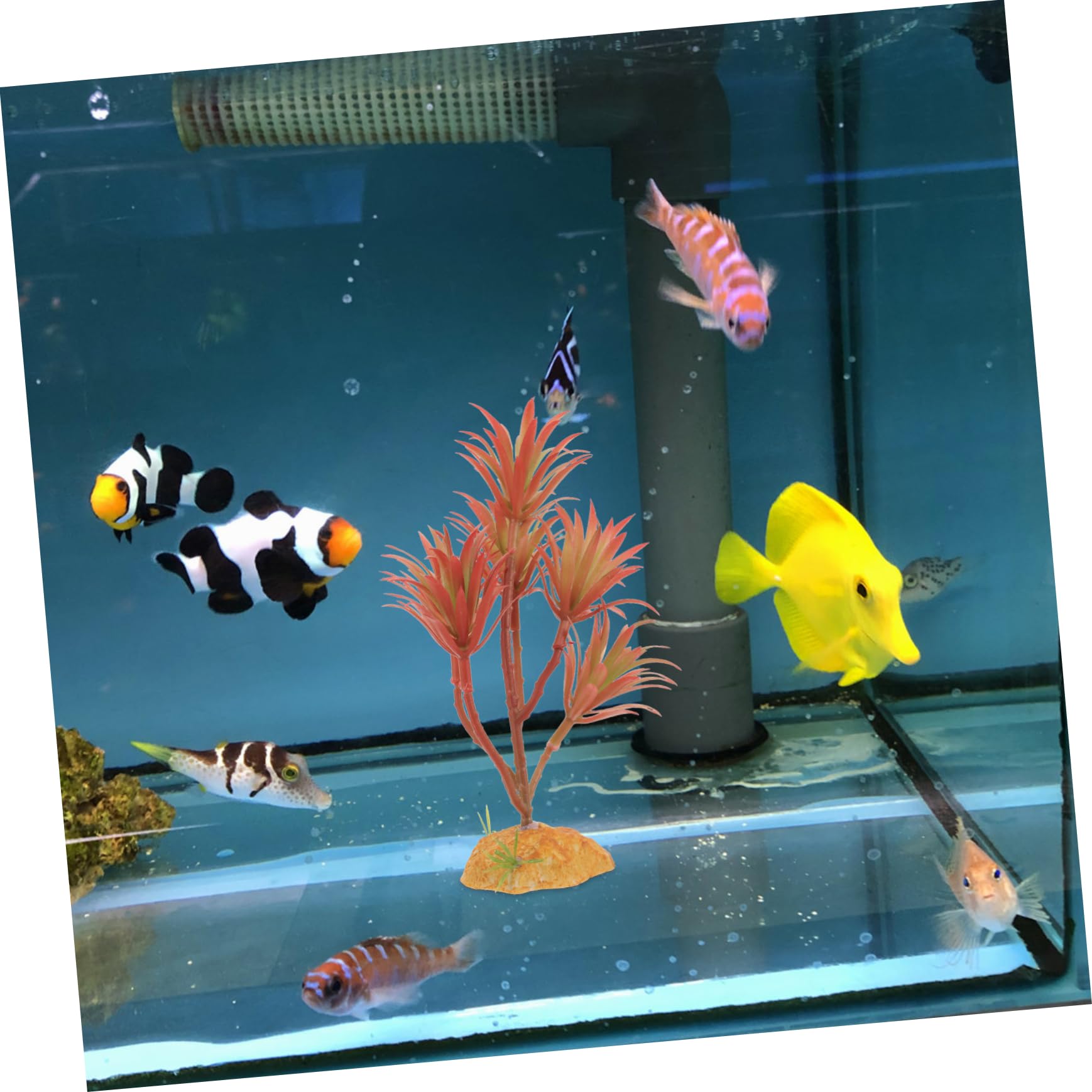 Abaodam 5 Pezzi Set di piante simulato piante da acquario impostore grandi d'acquario pianta acquatico decorazione dell'io Piccole betta pesce plastica