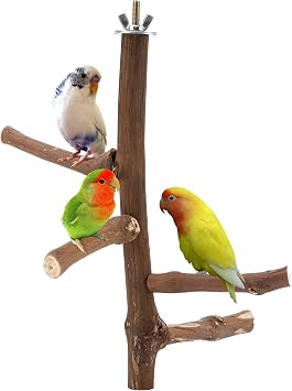 Bird Perch Stand Toy Grapevine Wood Bird Cage Branch Perch 10 Inch | Natural Grapevine Wood Perch Stand 4 Branches Bird Cage Inside Accessories Bird Toy for Parakeet Cockatiel Conure Finches