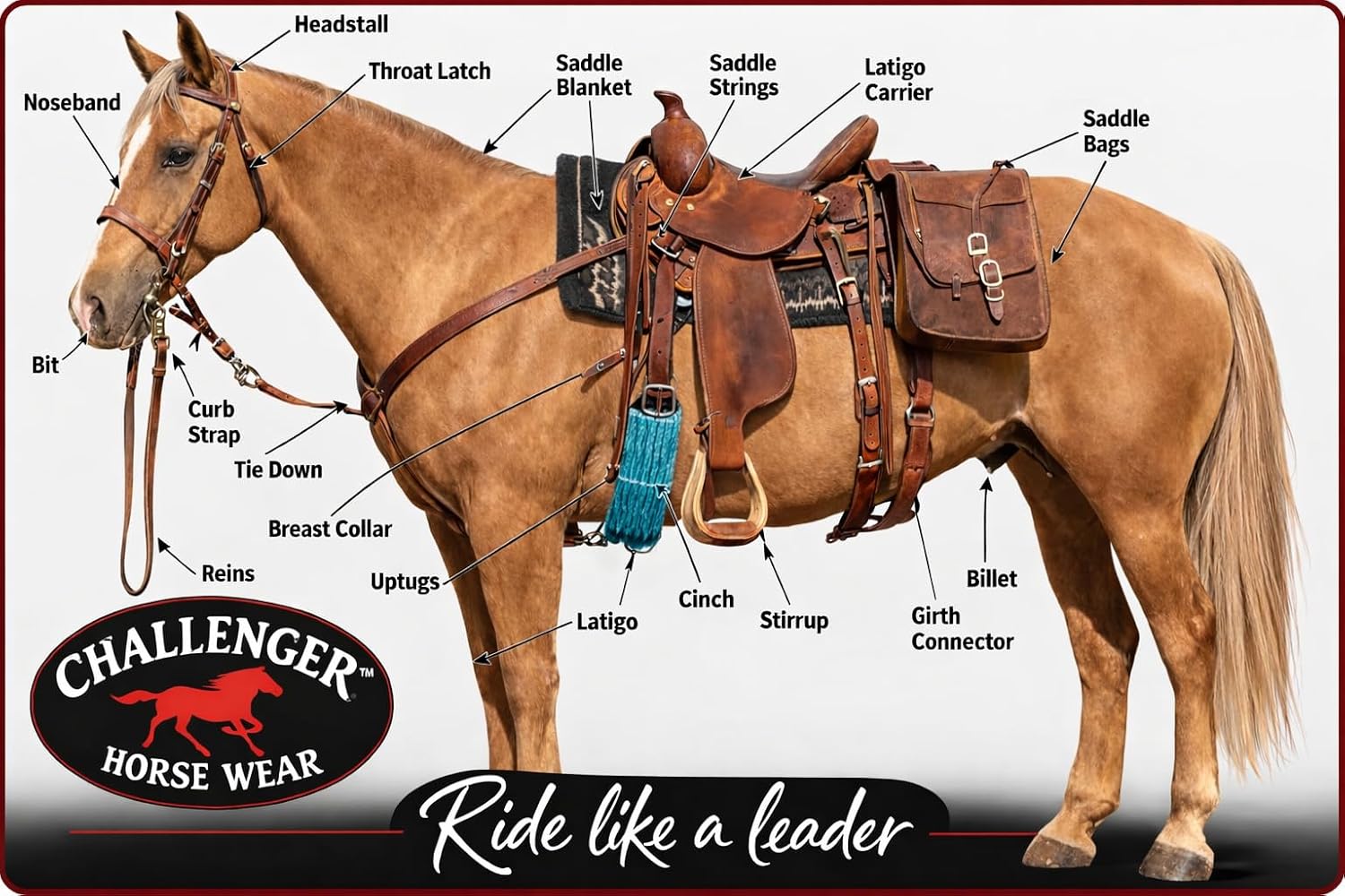 CHALLENGER Horse 34" Western 27 Strand Double Weave Turquoise Mohair Roper Cinch 97RT07TR-34