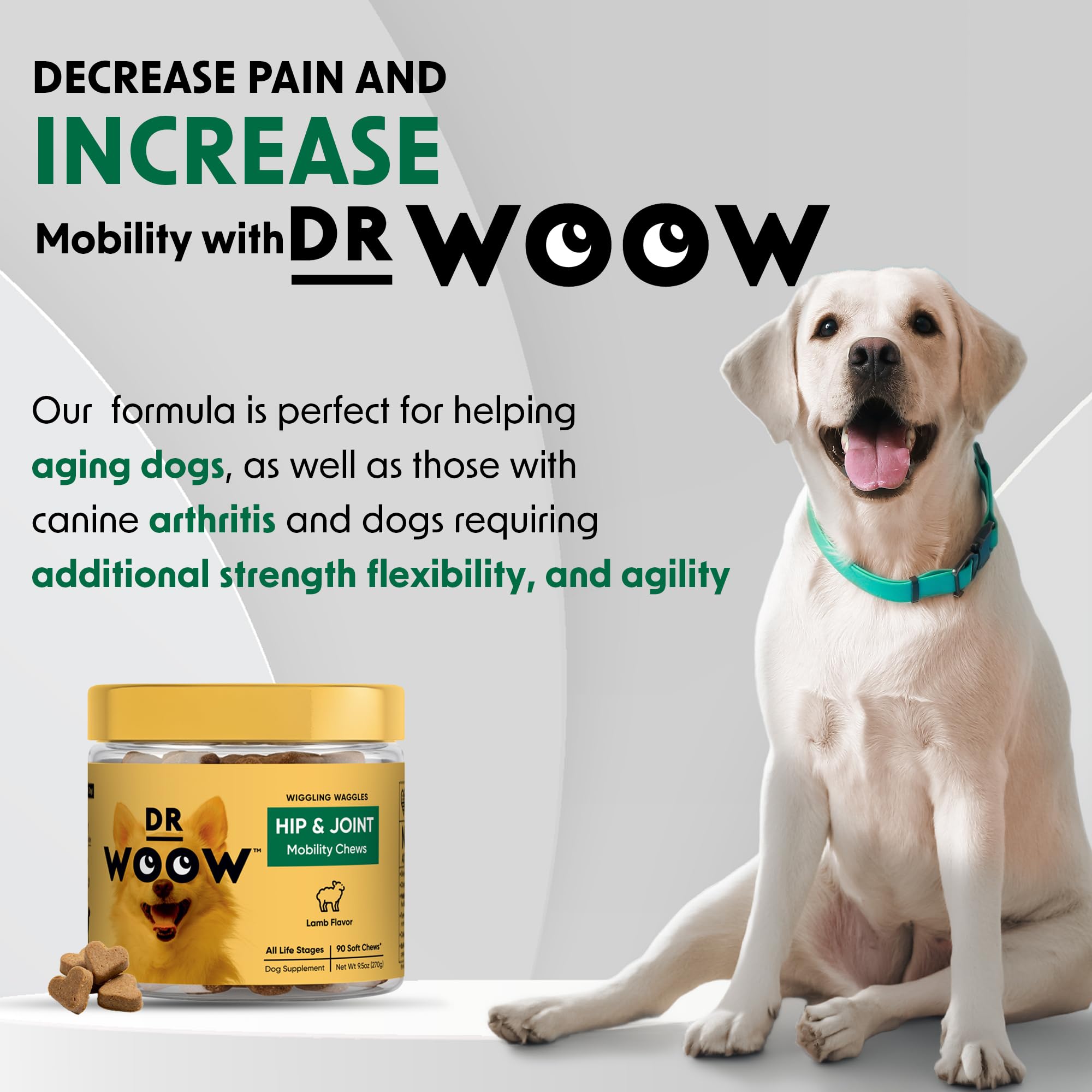 Hip & Joint Supplements for Dogs Soft Chews (90 CT) – Mobility Support + Joint Comfort & Flexibility – Glucosamine + MSM – Made in USA - image 8