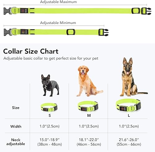 Miniatura 5 de Colaseeme Collar de perro con luz LED, collares de perro con micro USB, recargable, ajustable, correa de nailon, hebilla de plástico, anillo D,