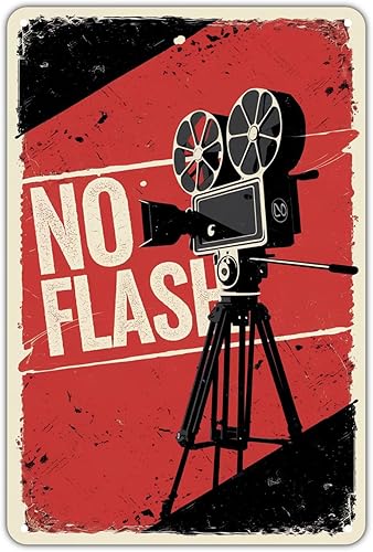 Retro Camera tin sign Vintage No Flash Metal Sign Print Aesthetic for Garden Yard Bar Porch Home Bedroom Kitchen Wall Decor Decor Gift 8 x 12 inch