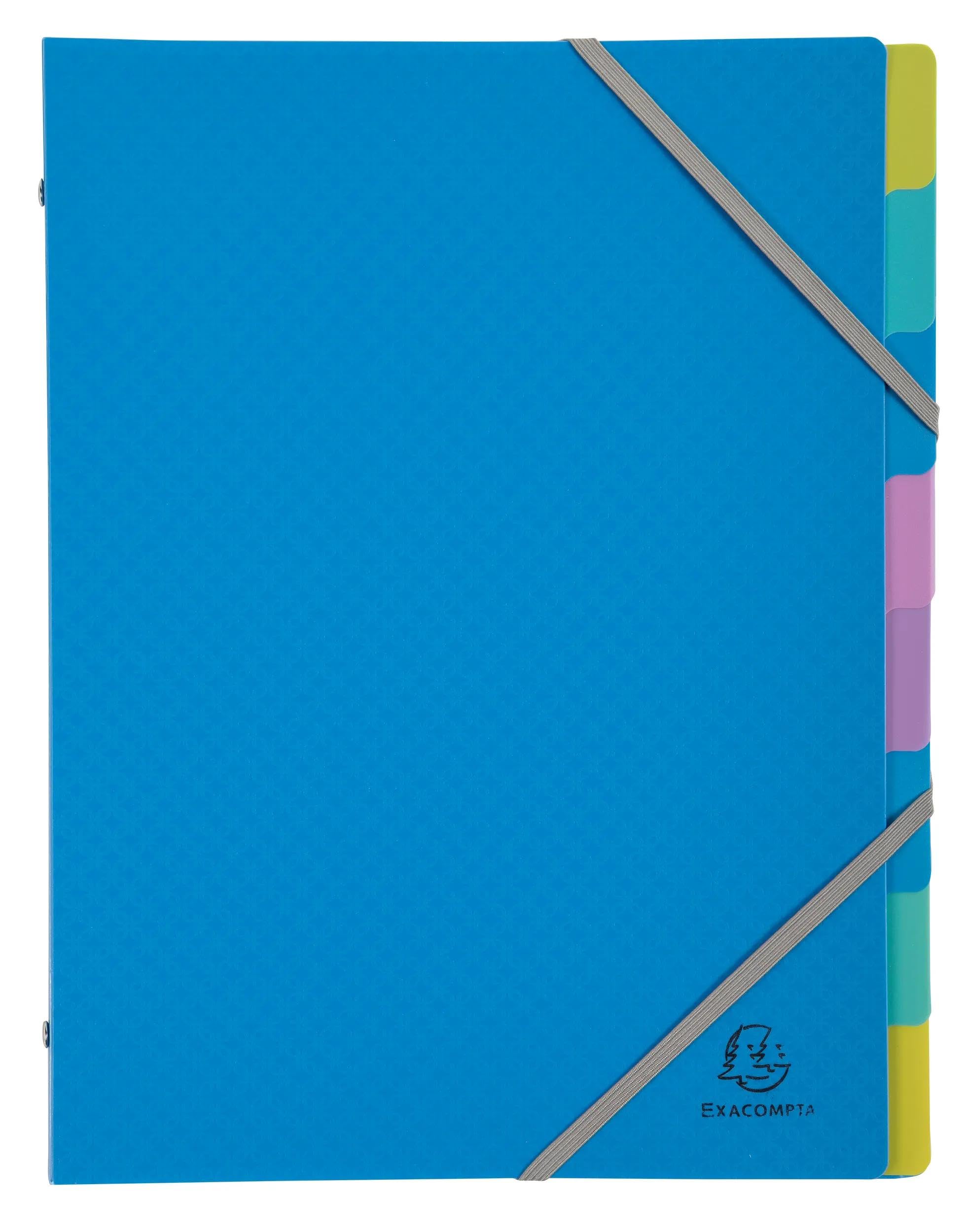 Exacompta, Ref 56190E, Box of 8 Forever Young File Boxes, 3 Flaps with Elastic Bands - Image 2