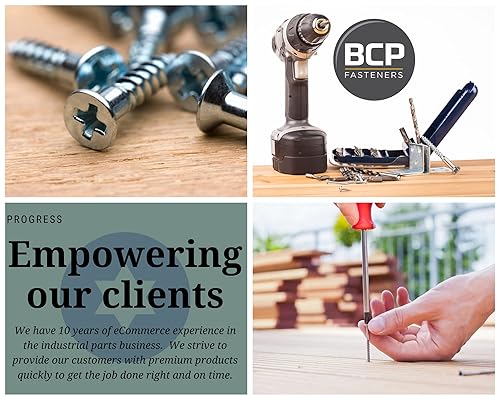 Miniatura 7 de 40 anclajes autoperforantes de plástico de nailon prémium con tornillos  Hasta 75 libras (BCP952)