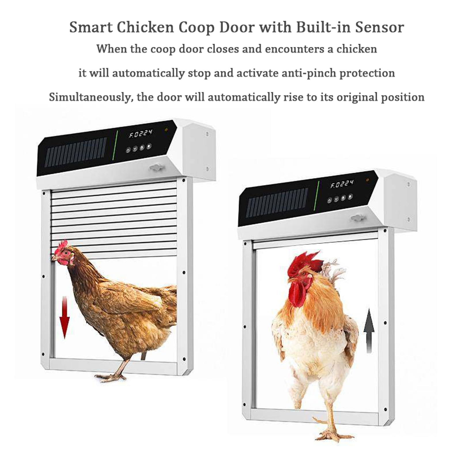 Puerta automática de gallinero con energía solar, diseño de aluminio resistente a la intemperie, temporizador, detección de luz y modos de control remoto para uso en granja y exteriores
