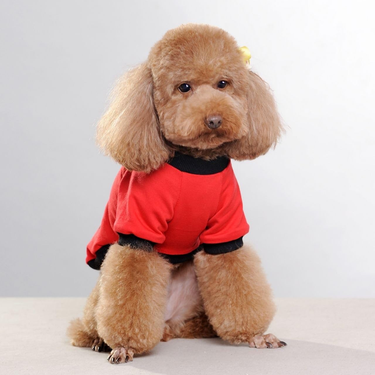 CheePet Pet Clothes I LOVE MY MOMMY Dog T-Shirt Large size,Excellent gift for dogs and dog lovers