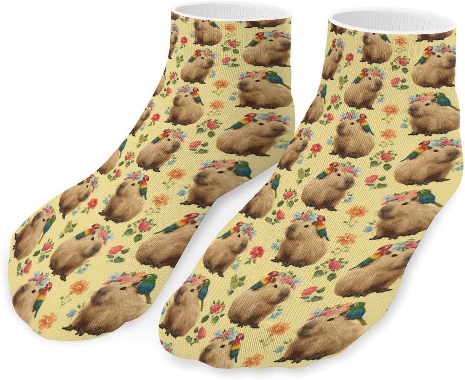 Cute Capybara Socks for Men Women 5 Pairs Ankle Socks