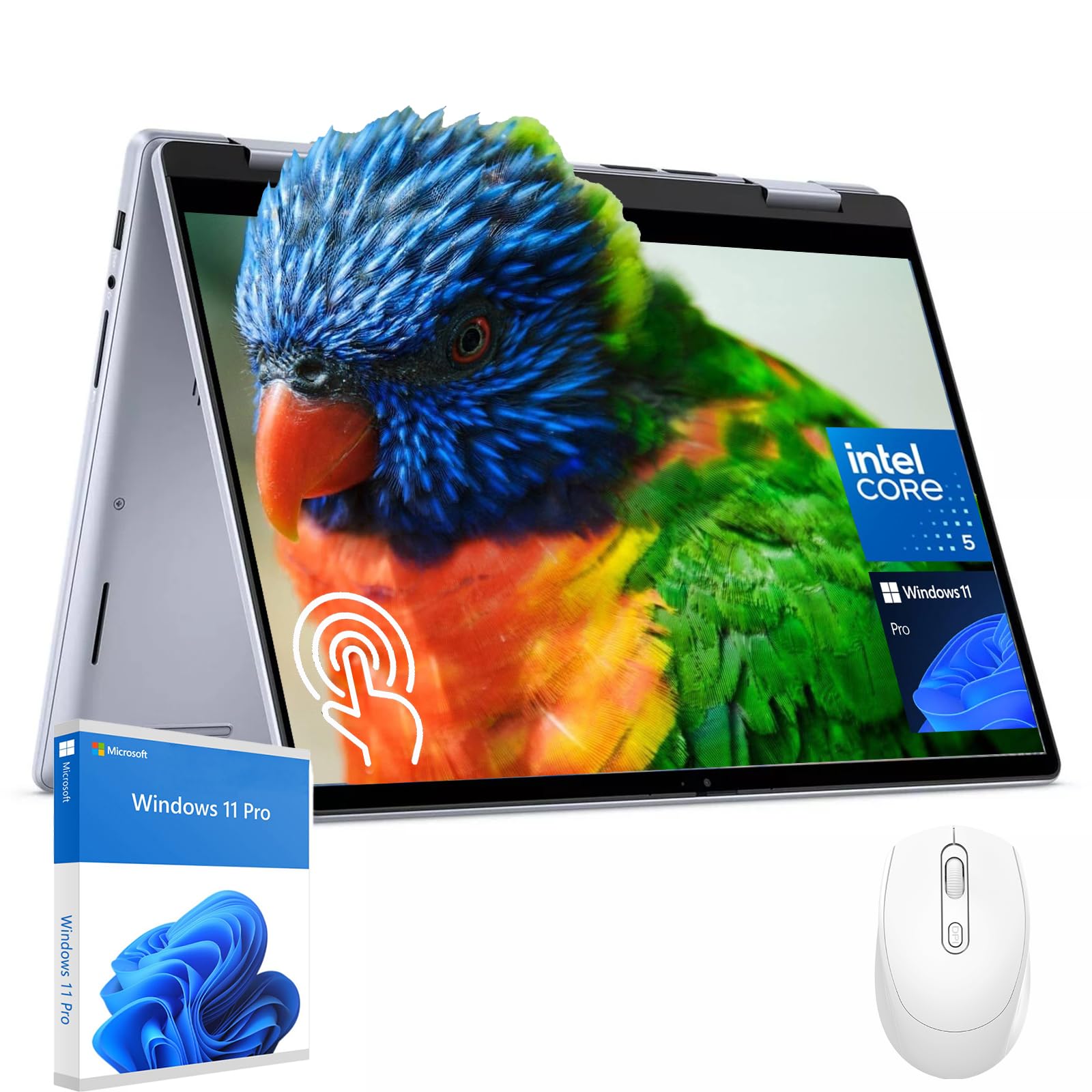 Amazon.com: Dell Inspiron 2-in-1 Business Laptop - 14