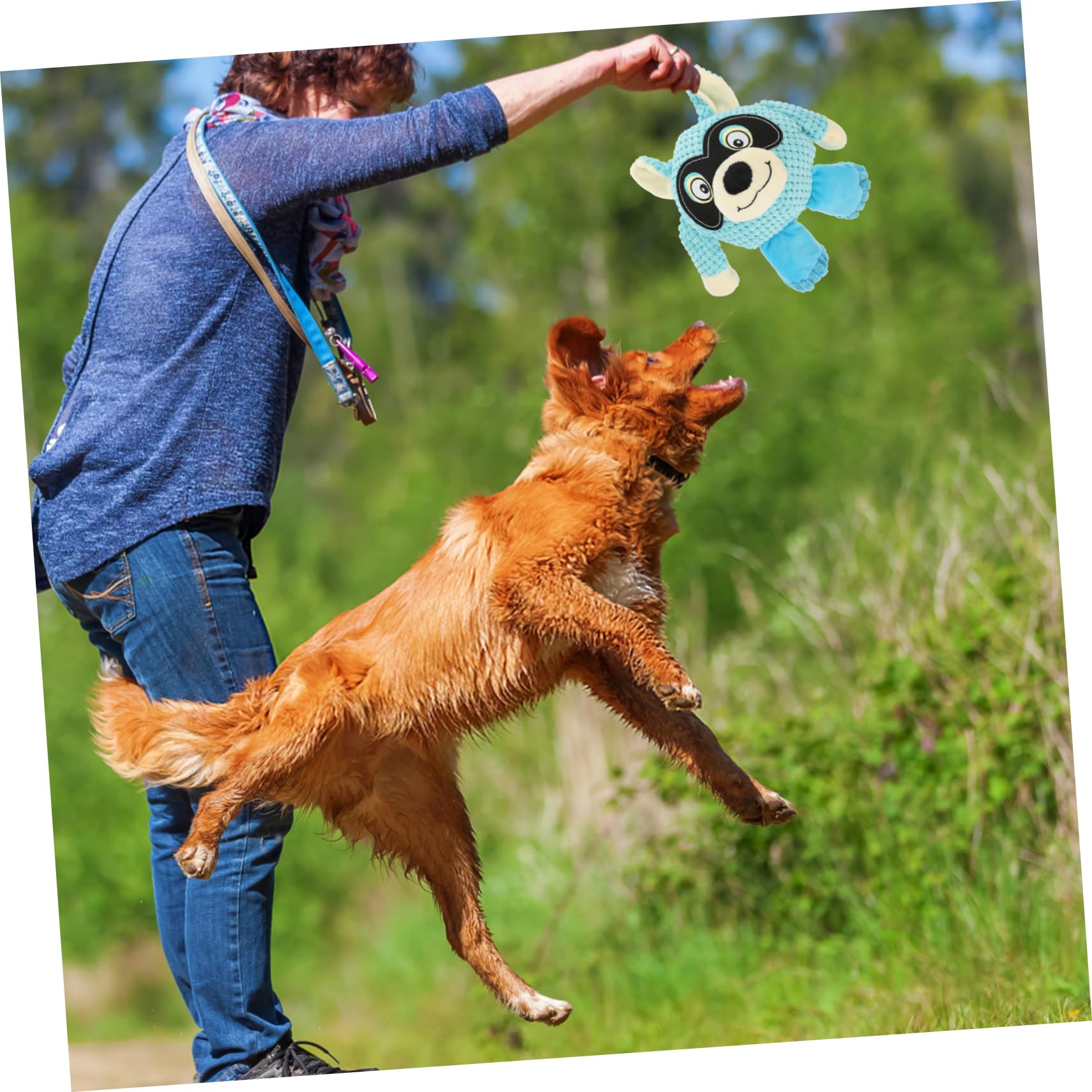 Sosoport 2piezas Juguete De Peluche para Perros Juguete Interactivo Sonido para Mascotas para Jugar Casa Aire Estimula La Salud Vínculo Tu Mascota