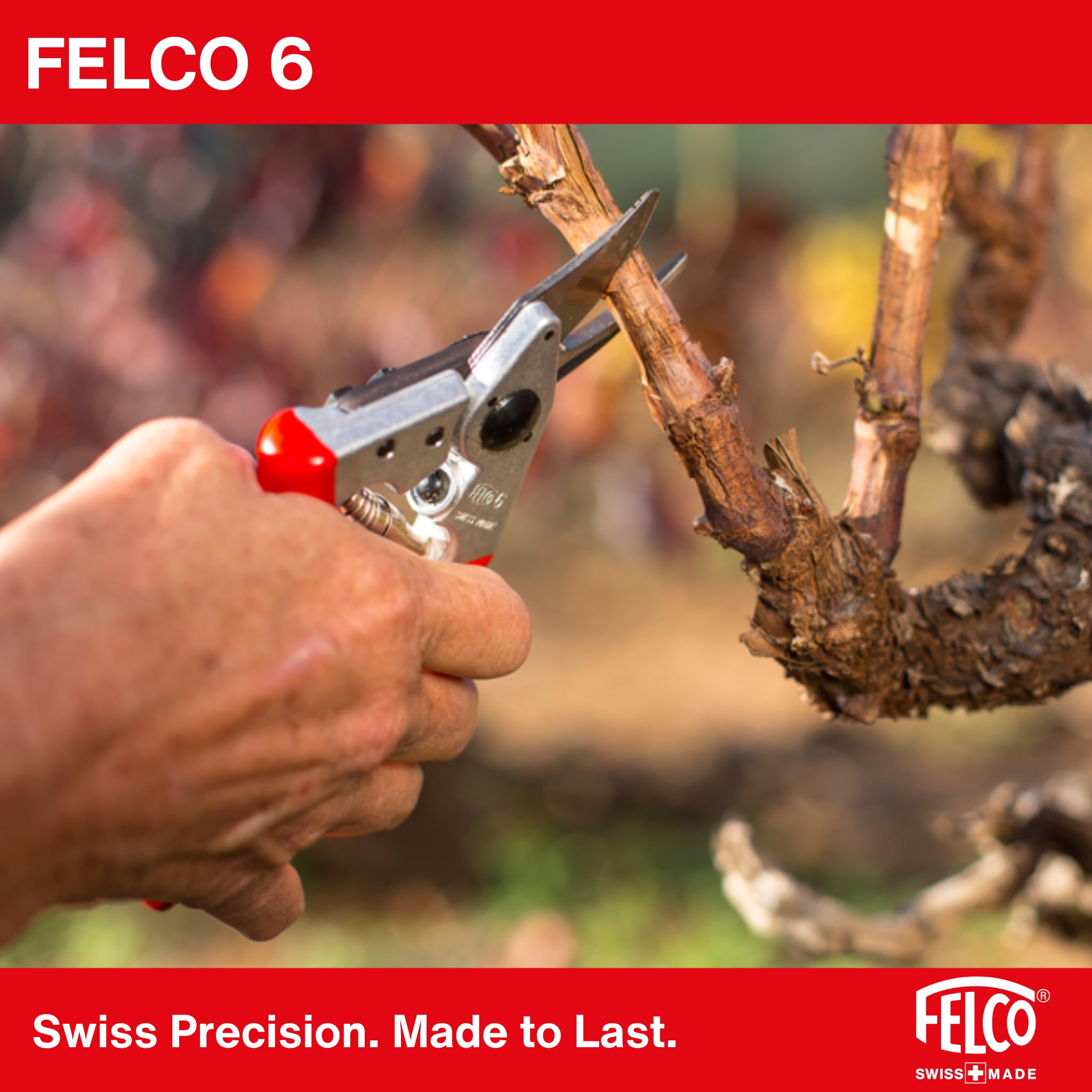 FELCO 2-teilig: Bypass-Gartenschere FELCO 6 + Schärfer 905, Rechtshänder, Mittelgroße Hand, 20mm, Multifunktionales Klingenpflegewerkzeug