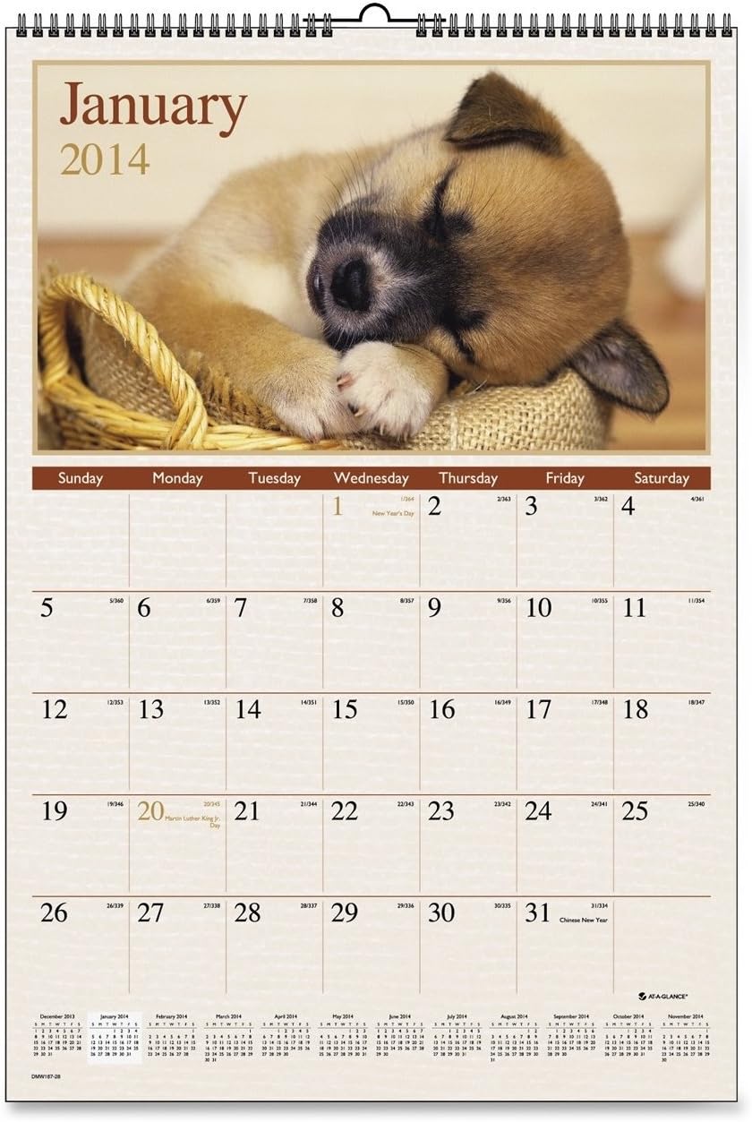 AT-A-GLANCE 2015 Puppies Monthly Wall Calendar, 15.5 x 22.38 x .06 Inches (DMW167-28) 2018-2019