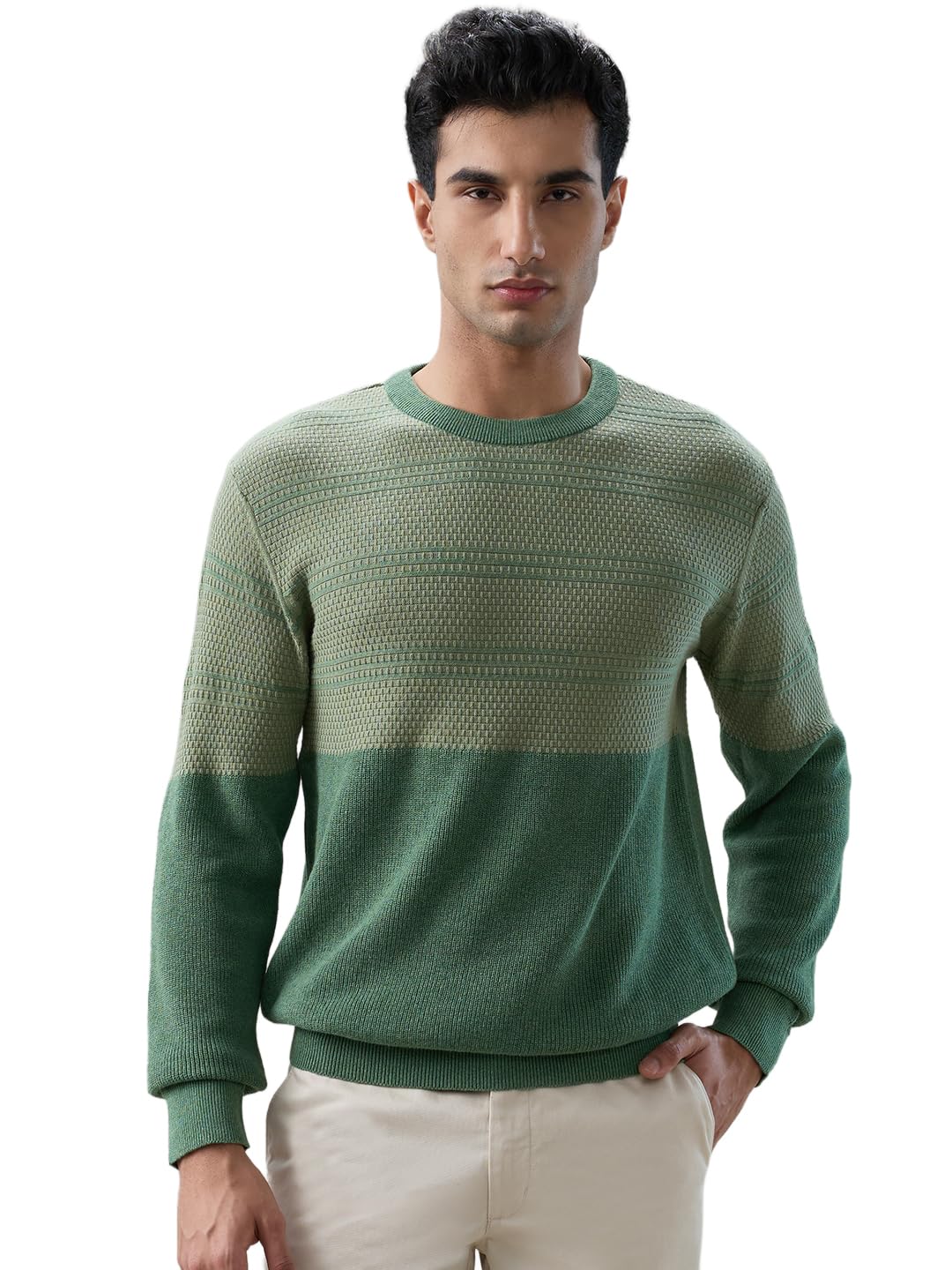colorplus Men Regular Fit Jacquard Pattern Pure Cotton Full Sleeve Round Neck Casual Sweater Dark Green-picture-10