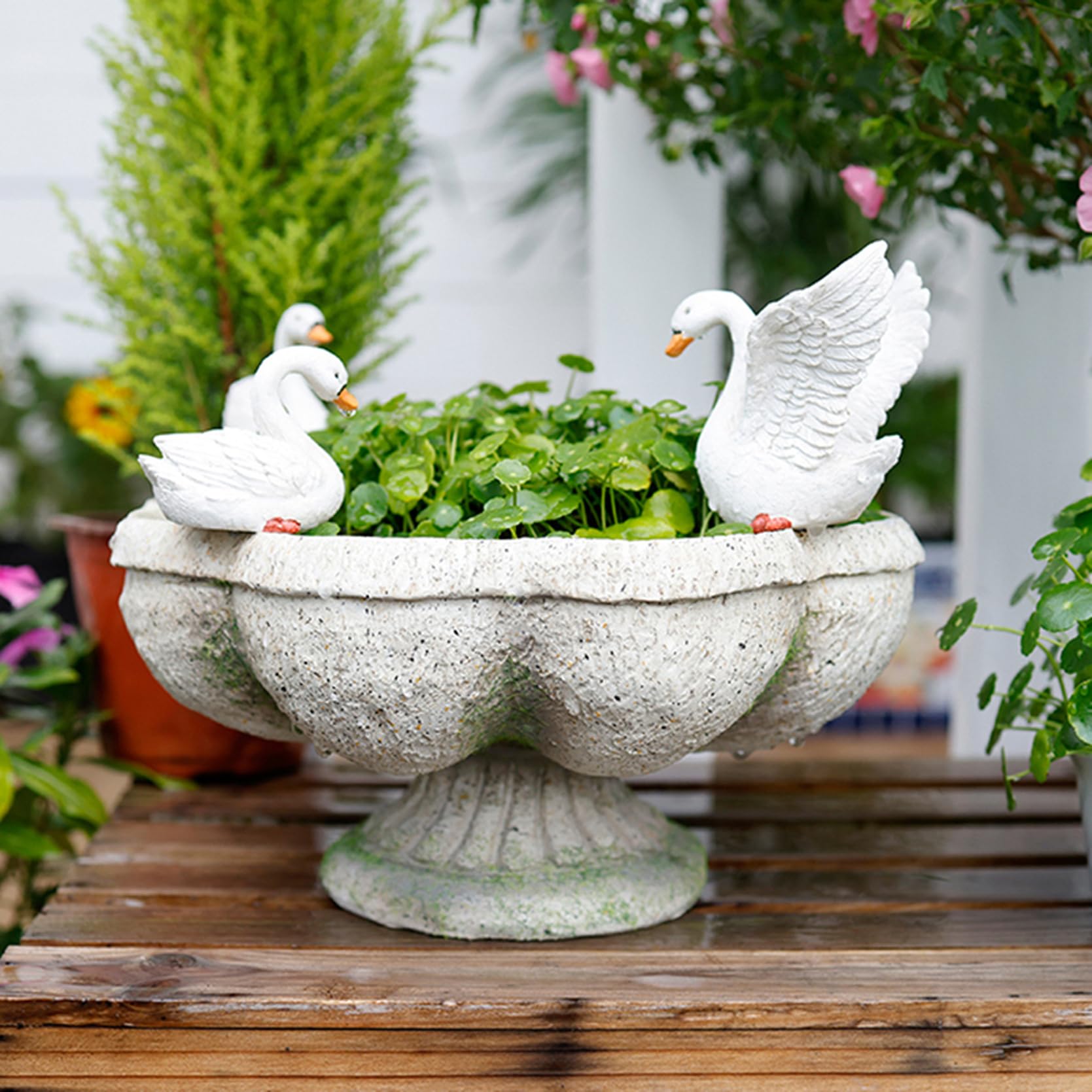 Amazon.co.jp: 多肉植物 花 ポット ホームガーデン 部屋 テーブル 装飾