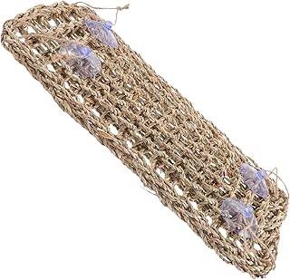 FRCOLOR Lagarto Rede Brinquedos Réptil Rede Cama Réptil Animais Rede Brinquedo Lagarto Espreguiçadeira Criativo Rede Cama Criativa Réptil Rede Réptil Gaiola Rede Pendurado Pet Palha