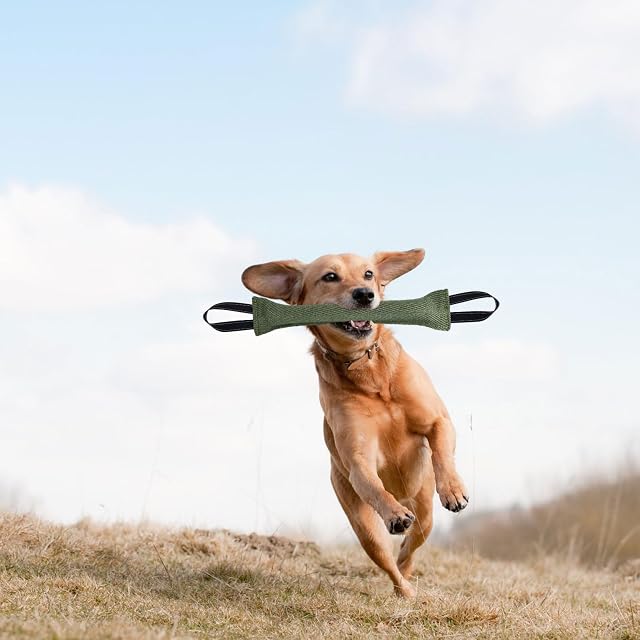 Foto 7 de 7 de Ziyonix 2 Piezas Mordedor Perro 30cm Juguetes para Perros de Entrenamiento