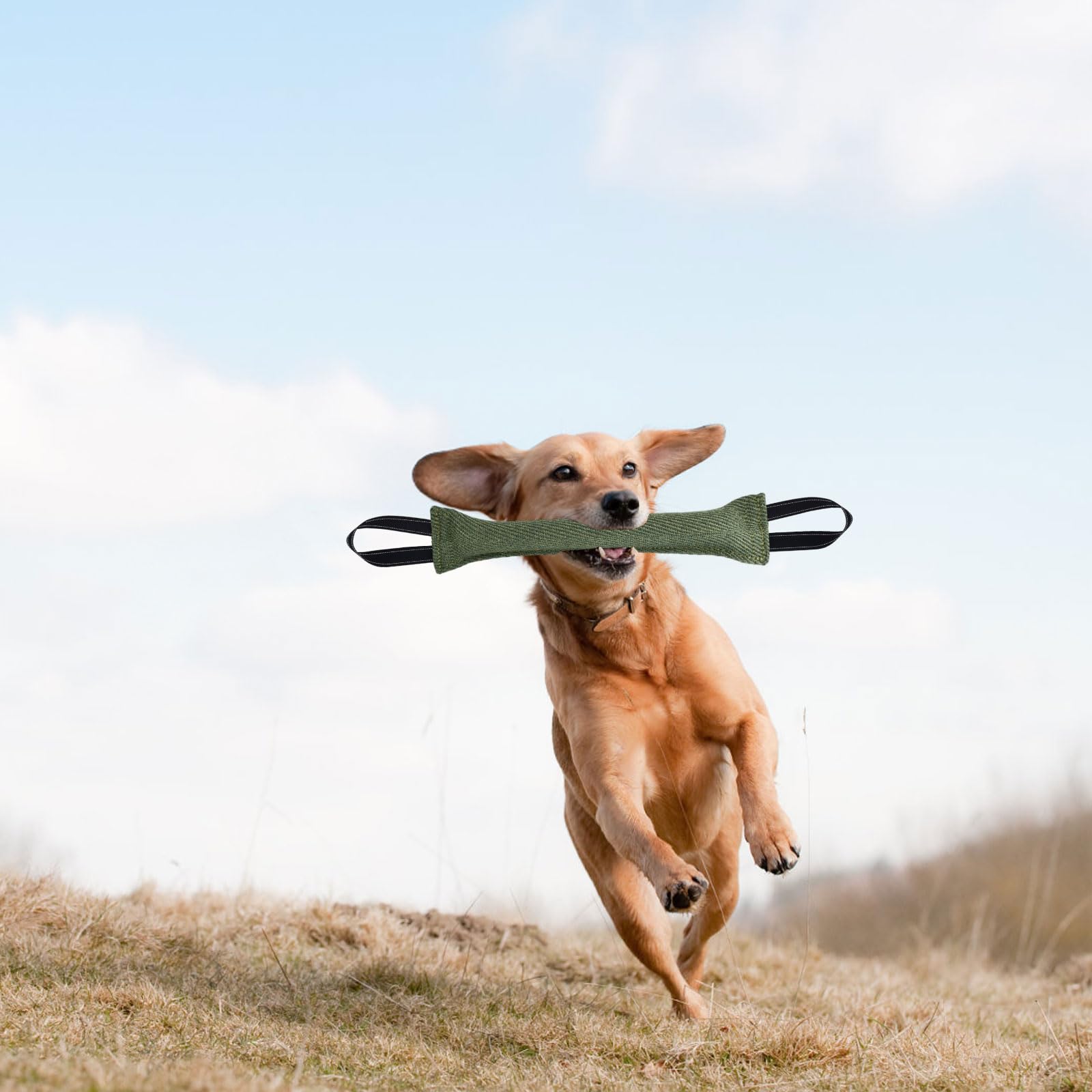 Manicotto per Cani 30 cm Giocattolo per Cani Salsiccia con 2 Maniglia per Addestramento Gioco Cuscino da Morso Interattivo (Verde)