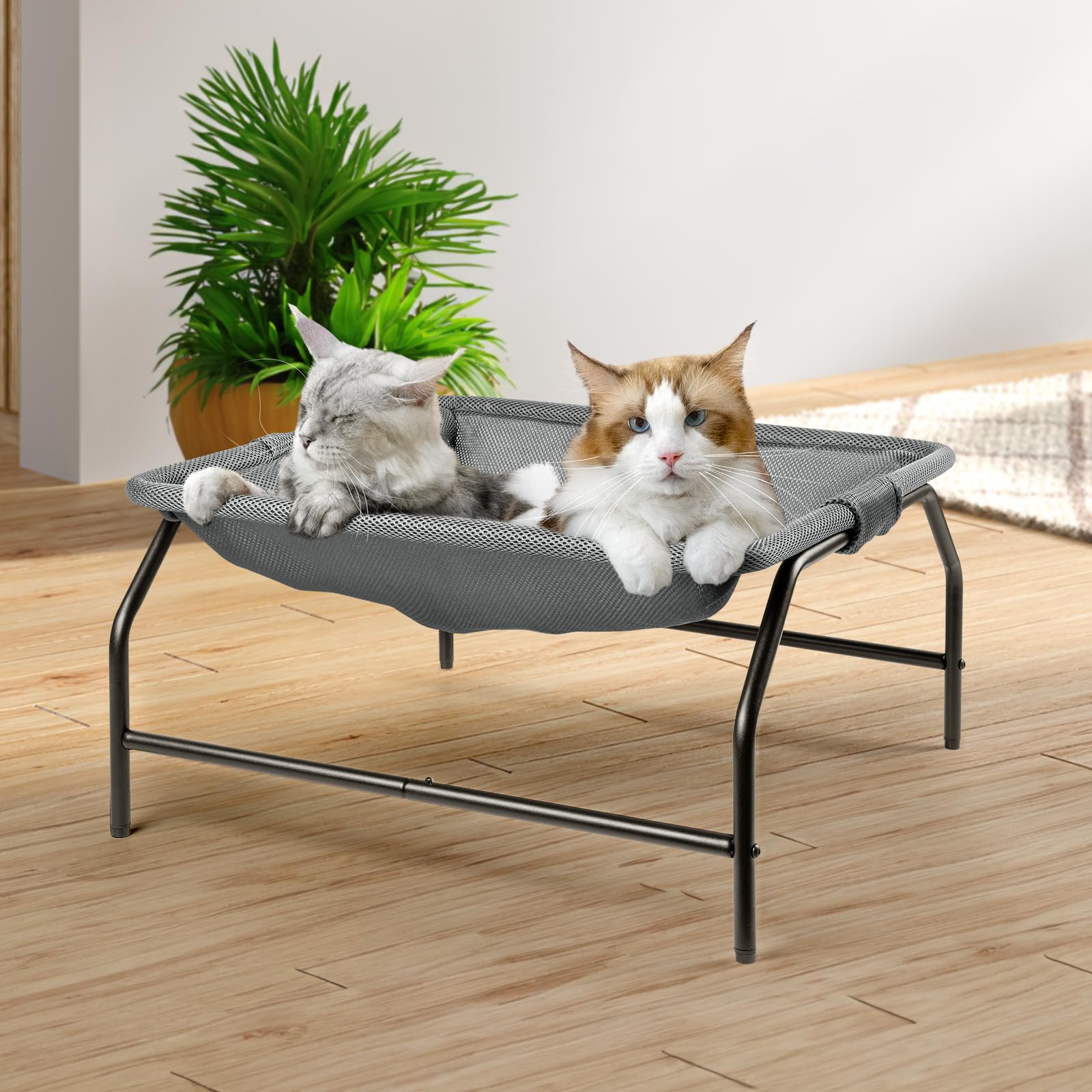 JUNSPOW Cama grande para gatos, 54 x 54 x 28 cm, hamaca cuadrada para mascotas [para gatos grandes], cama elevada para gatos, excelente permeabilidad, cama independiente para gatos grandes/cachorros