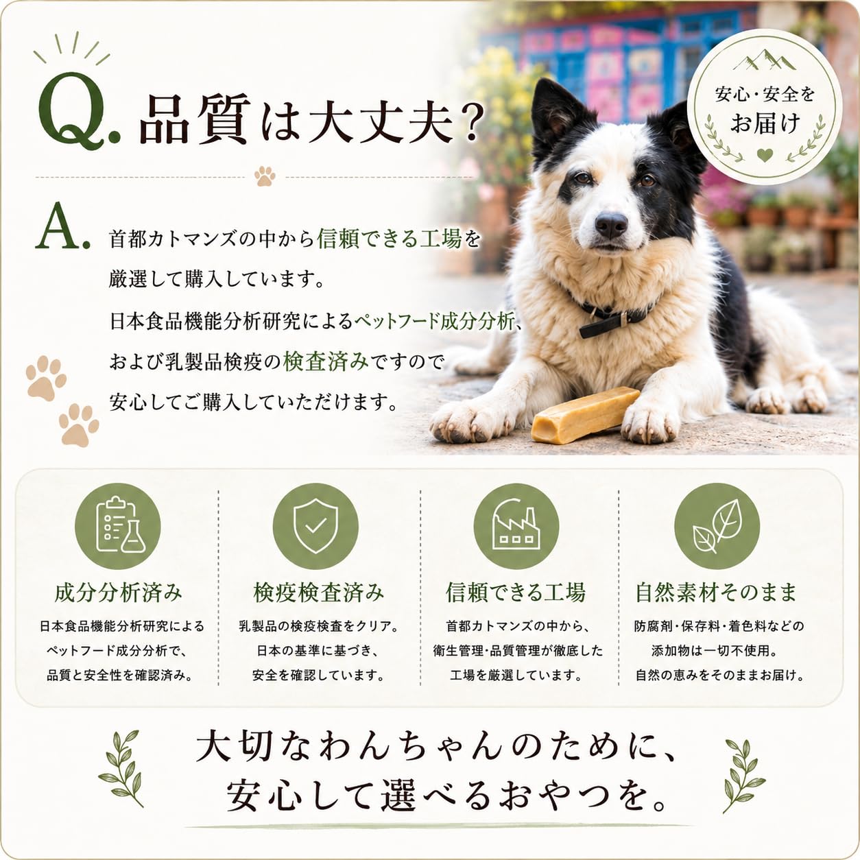 Amazon.co.jp: ヒマラヤンヤクチーズ 直輸入 Lサイズ約100-110g×3本