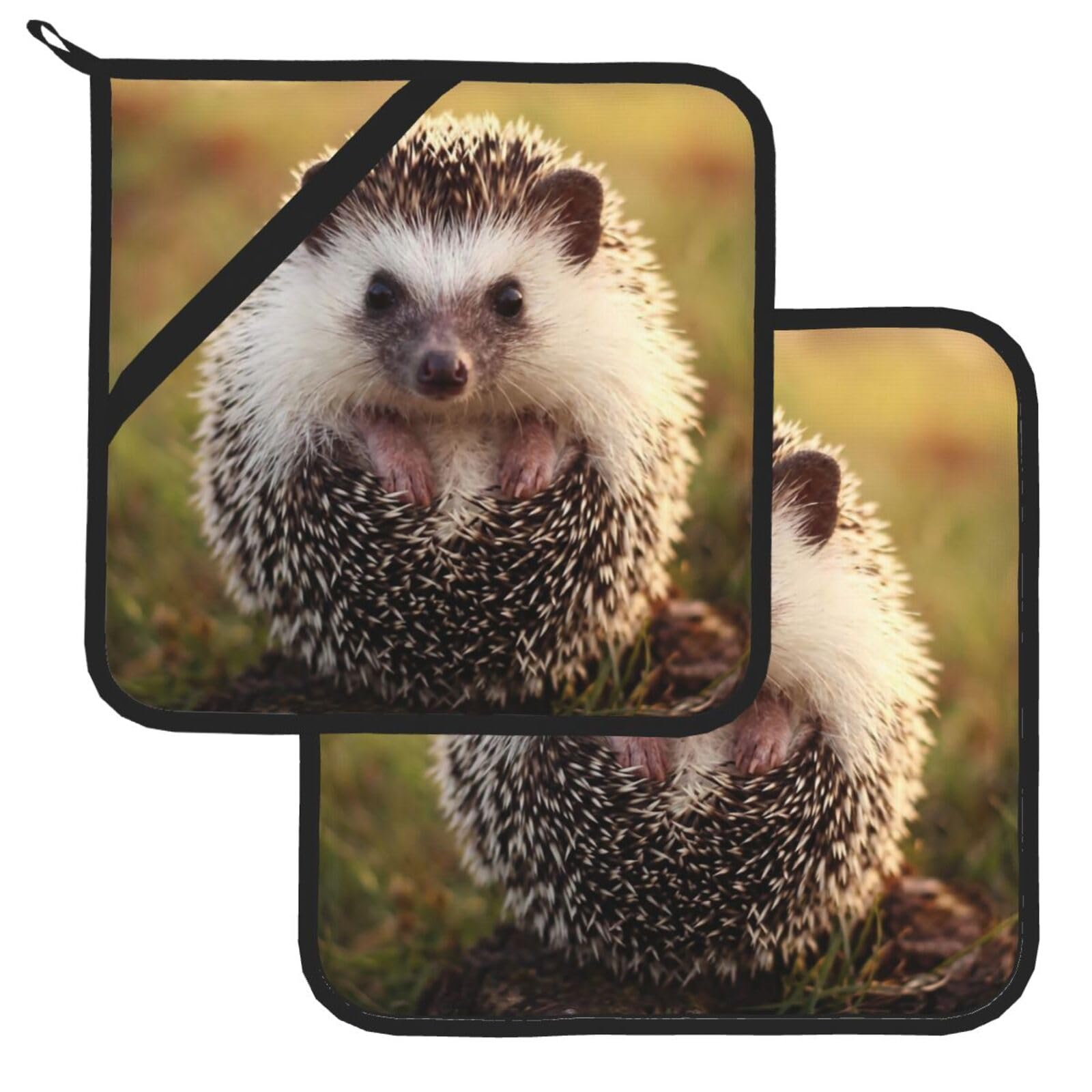 Pot Holder Set of 2 Heat Resistant Kitchen Potholders Hedgehog Pot Holders Kitchen Trivets with Hanging Loops Washable Oven Hot Pads for Cooking Baking BBQ