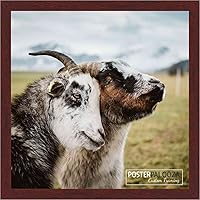 Vista 6 de Marco de madera para fotografía 28 x 40.