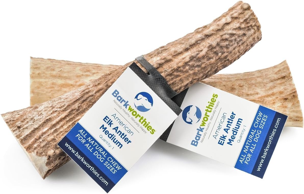 Barkworthies - Natural Elk Antler Medium