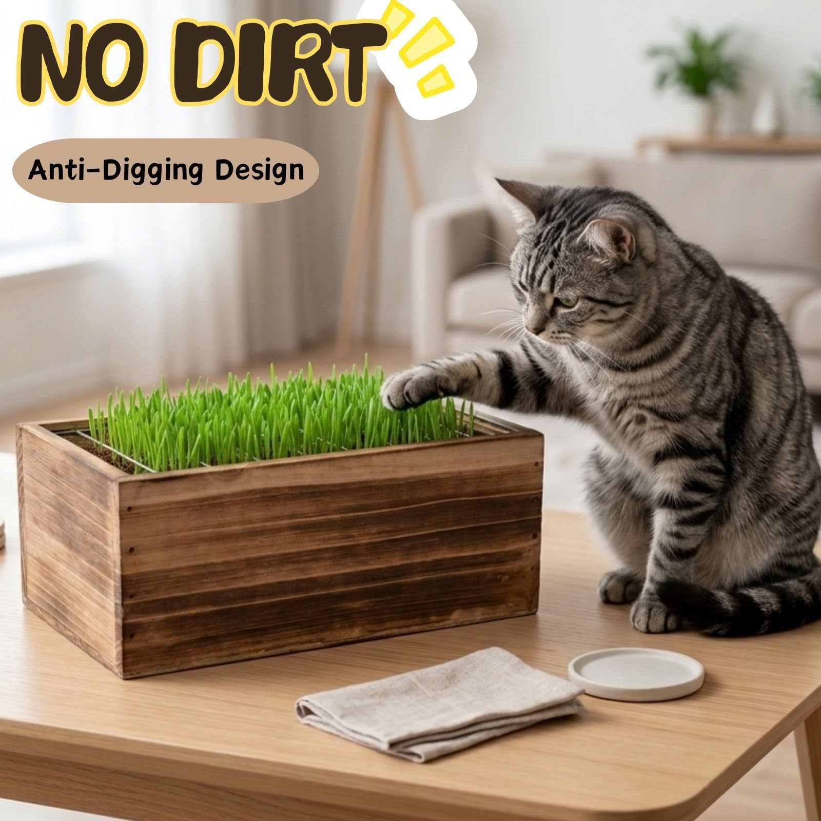 Herbe à chat pour chat d'intérieur – Jardinière en bois avec motif