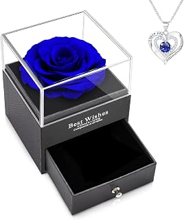 Evig äkta ros handgjord konserverad ros presentförpackning med kärlek halsband, förtrollad äkta ros blomma för alla hjärtans dag årsdag bröllop födelsedag romantiska presenter ..