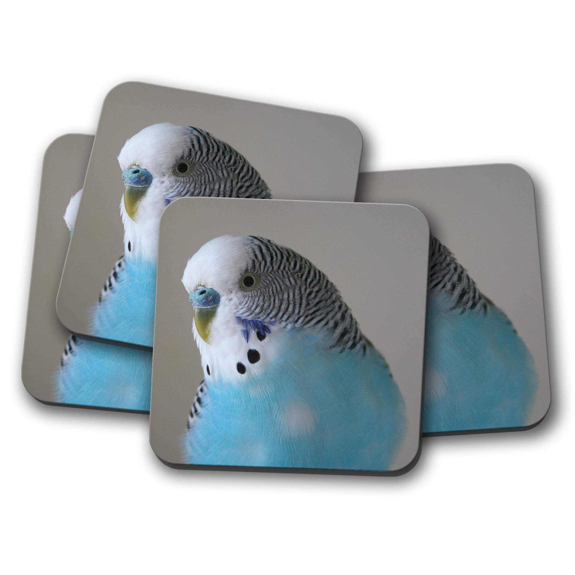 4 Set - Pretty Blue Budgie Coaster - Budgerigar Bird Parrot Pet #14623