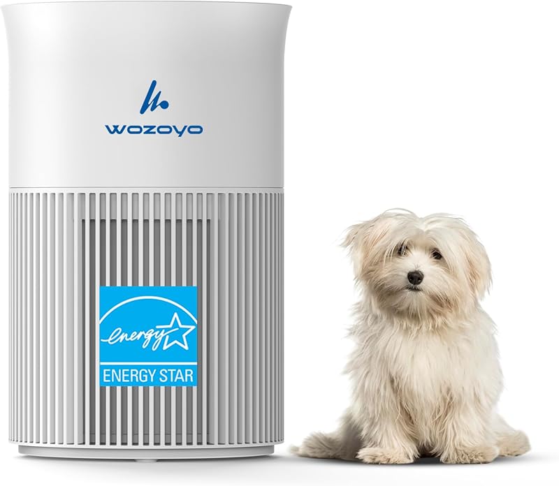 Pure Air PA1 Wozoyo Air Purifier For Bedroom Home, Office, Desktop, AHAM VERIFIDE, Covers Up To 300 ft², 3-in-1 HEPA Filter Cleaner With Aroma Pad, Filters Smoke, Pet Dander, Odor, Dust
