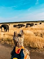 Vista 8 de Wally The Wandering Wallaby™ Animal de peluche para niños, juguete canguro ultra suave para inspirar los viajes, regalo perfecto con temática