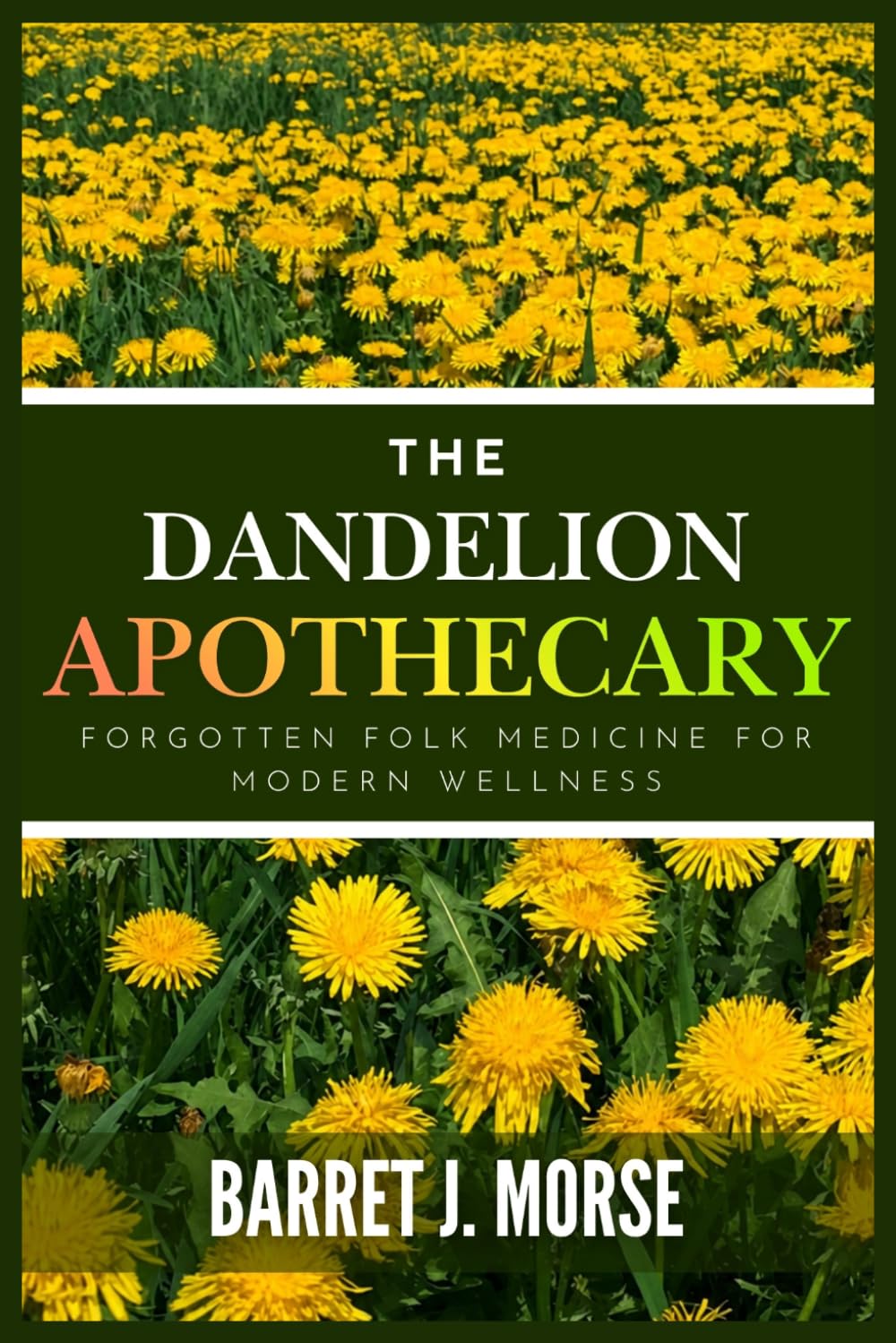 The Dandelion Apothecary: Forgotten Folk Medicine for Modern Wellness (The Dandelion Living Series)
