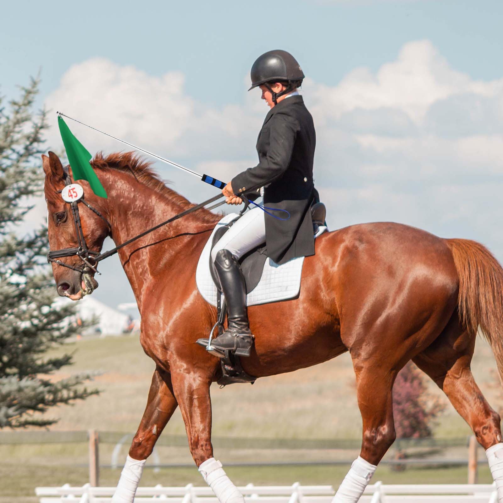 5uds Horse Training Flag, Bandera de Entrenamiento con 1,6m Mástil Telescópico Equipo Entrenamiento Caballos Mástiles de Bandera Telescópicos Bandera Caballos Banderas Entrenamiento Ecuestre