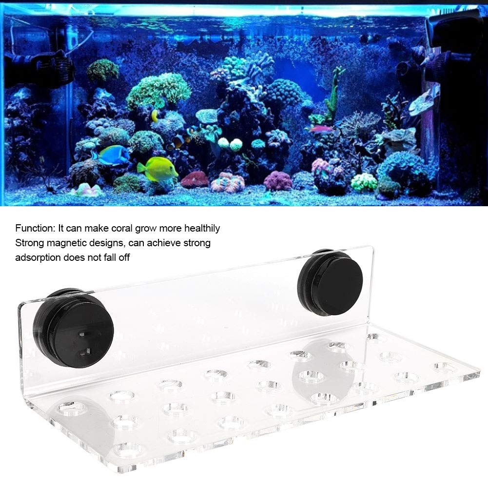 Fdit Frag Rack Acrilico Magnetico Holder Supporto Base Pulsante Acquario 23 Hole