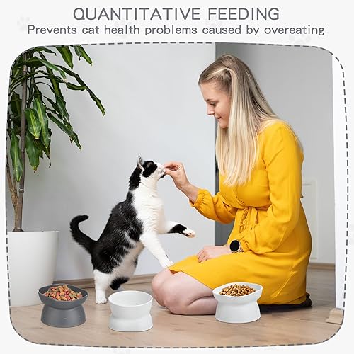 Miniatura 6 de 4 cuencos elevados de plástico inclinados para gatos, cuencos elevados de comida para gatos, cuenco de agua para gatos, plato elevado de