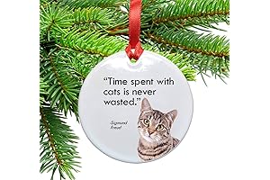Cats and Time Quote Ceramic Xmas Ornament