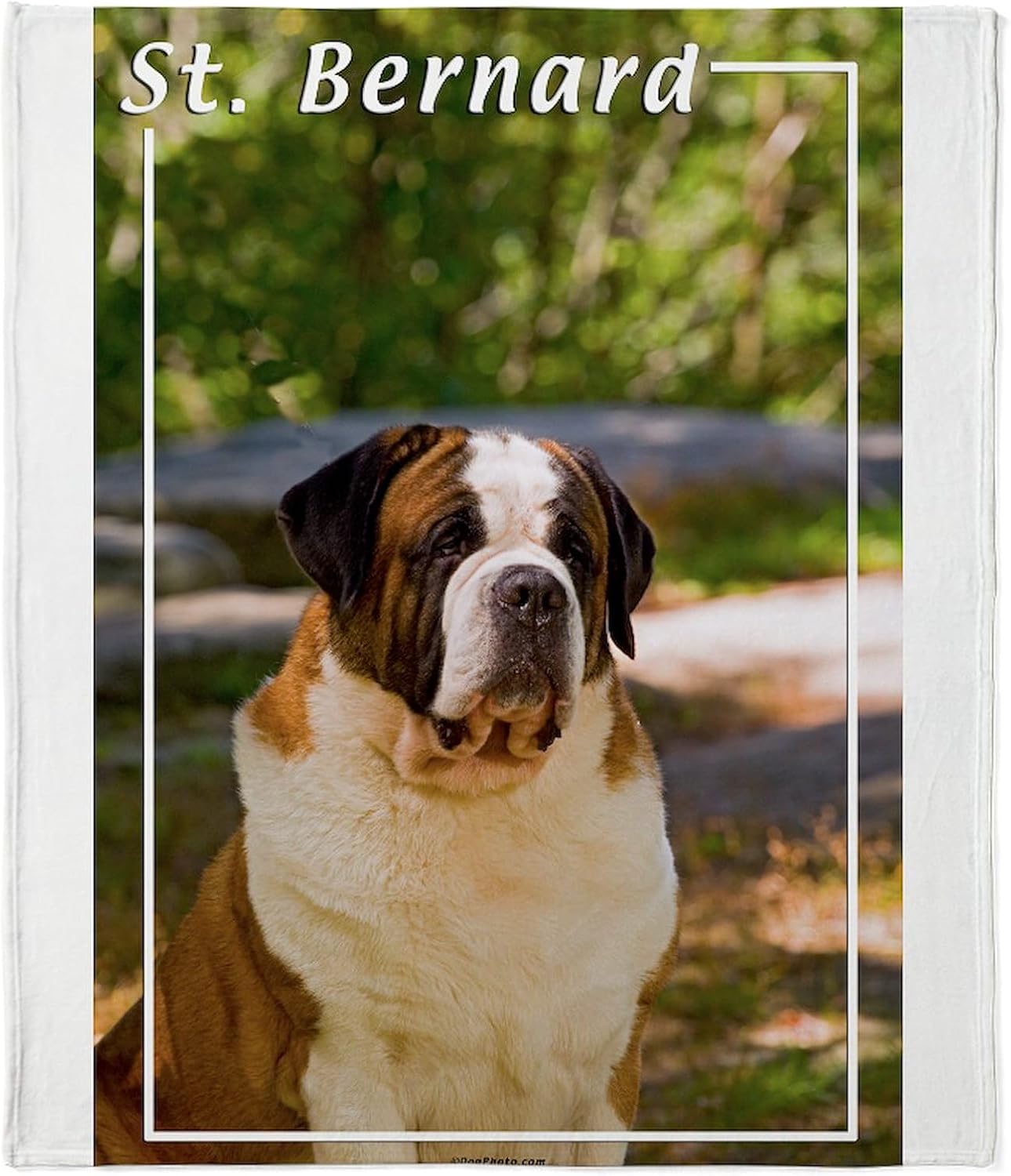 CafePress Saint Bernard Throw Blanket Super Soft Fleece Plush Throw Blanket, 60"x50"