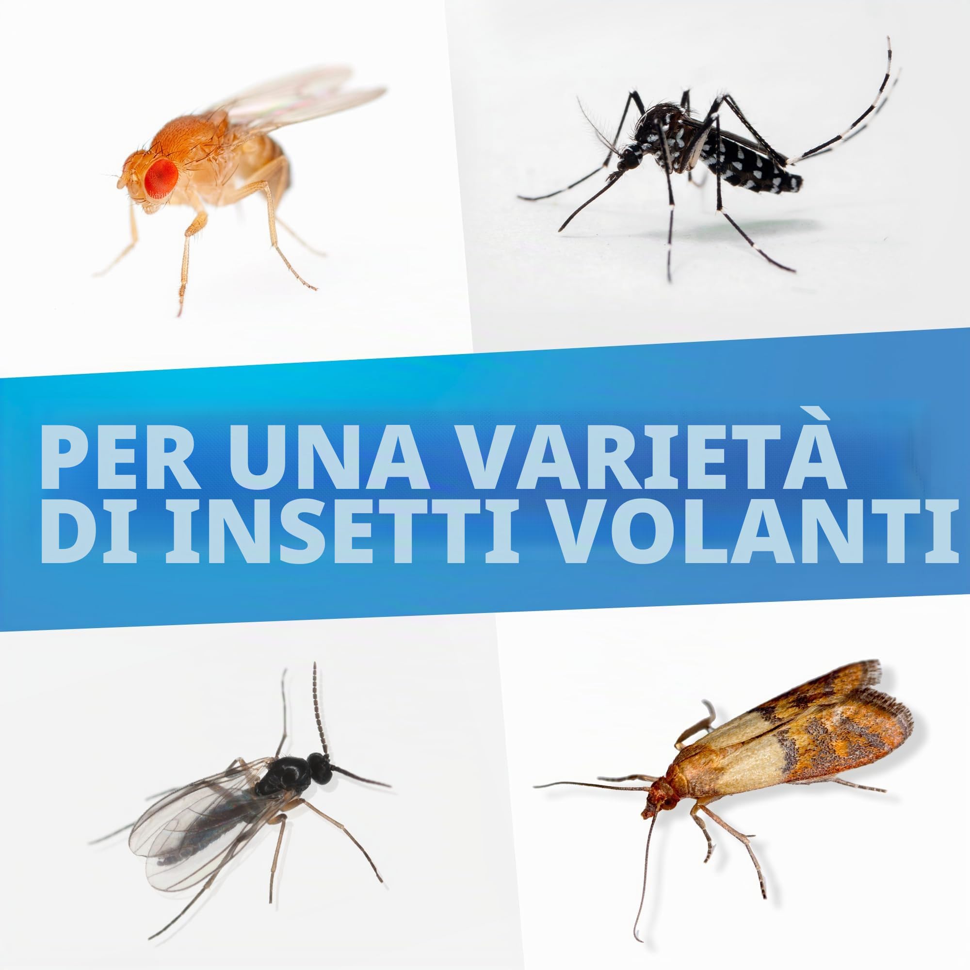 Raid Essentials - Trappola luminosa a LED per mosche, mosche e tarme, protezione 24/7, senza insetticidi, adatta alla famiglia, inodore e senza residui, per interni, 1 trappola luminosa e 1 ricarica