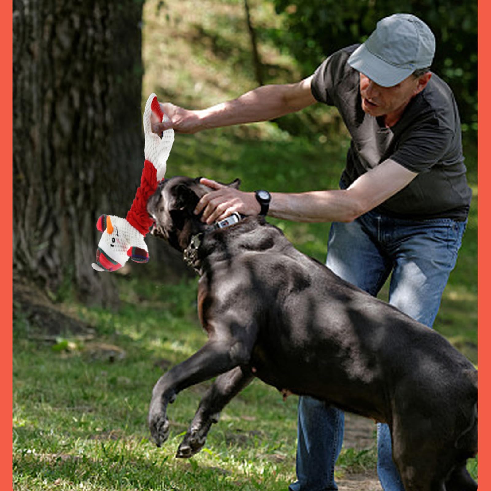 Jouets Couineurs pour Chien, Jouet en Peluche avec Papier Froissé, Jouets Interactifs pour Chiots, Petits, Moyens Et Grands Chiens,A